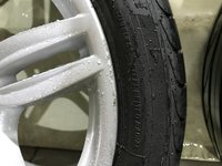 IMG_7385.JPG