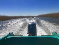 IMG_4160.JPG