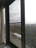 IMG_20170501_143216.jpg