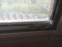 IMG_20170501_143230.jpg