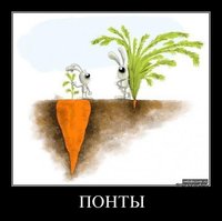 IMG_1795.JPG