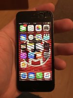 IMG_4319.JPG