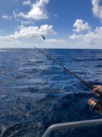 IMG_4483.JPG