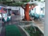 DSC00127.jpg