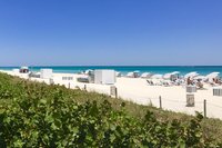 IMG_4742.JPG
