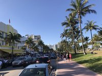 IMG_4781.JPG