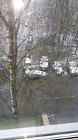 20170510_065912.jpg