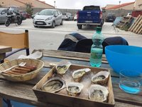 IMG_0294.JPG