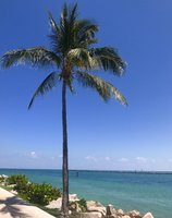 IMG_4887.JPG