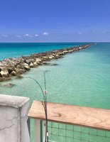 IMG_4903.JPG