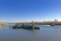 IMG_4010.JPG