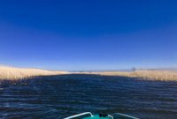 IMG_4163.JPG