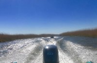 IMG_4160.JPG