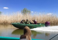 IMG_4115.JPG
