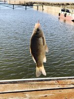IMG_4141.JPG