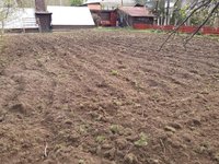 20170505_184126.jpg