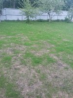 20170529_192347.jpg