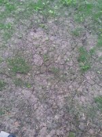 20170529_192416.jpg
