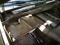 IMG_20170529_140452.jpg