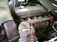 IMG_20170529_140506.jpg