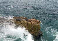 IMG_5535.JPG