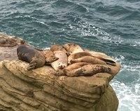 IMG_5537.JPG