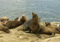 IMG_5510.JPG