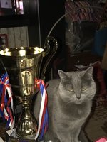 IMG_0422.JPG