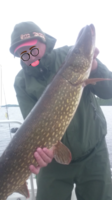 20170609_224909.png