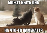 k3ZAmlgUgDk.jpg