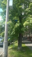 IMG-20170621-WA0005.jpg