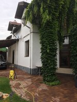 IMG_2262-20-06-17-03-17.JPG