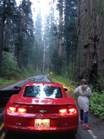 IMG_4510.JPG