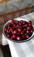 20170620_1737066.jpg