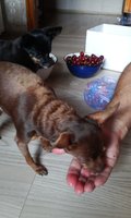 20170620_1735327.jpg