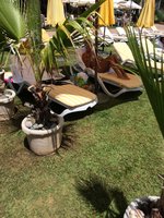 IMG_4677.JPG