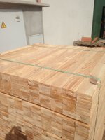 IMG_5295.JPG