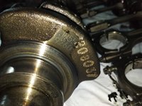 IMG_2017-08-01_1202392.jpg