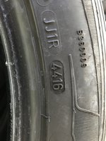 IMG_3599.JPG