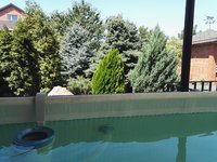 IMG_20170808_122551.jpg