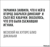 IMG_2889.JPG