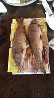 IMG-20170813-WA0084.jpg