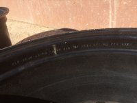 IMG_7147.JPG