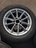 IMG_2067-16-08-17-09-52.JPG