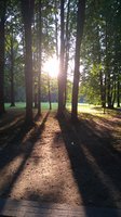IMG_20170821_183843.jpg