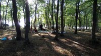 DSC_0166.JPG