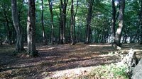 DSC_0168.JPG