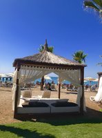 IMG_7765.JPG