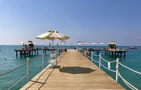 IMG_7492.JPG