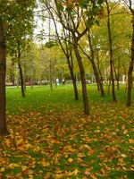 0_50606_97029336_XXXL.jpg
